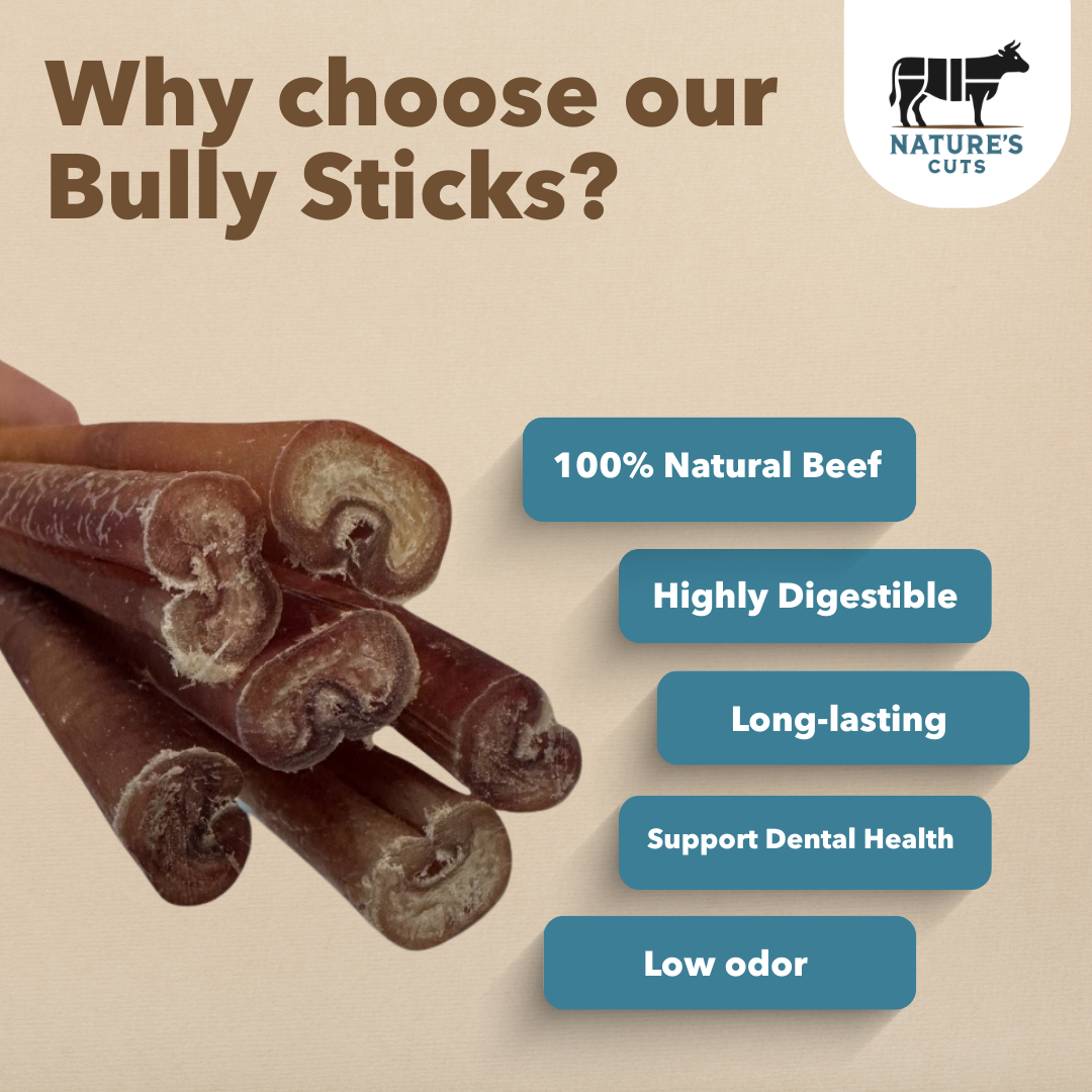 6" Jumbo Bully Sticks Display Box - Image 4