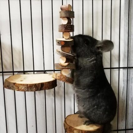 Applewood Chew Toy For Small Animals