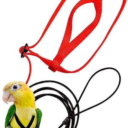 Bird Freedom Harness: Fly And Explore With Your Feathered Friend