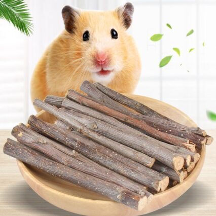 Wooden Bunny Bites: Natural Branch Chewing Snacks For Small Pets