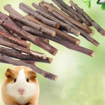 Natural Orchard Delights - Dried Branches For Small Pets