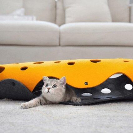 Cheese Cat Adventure Tunnel