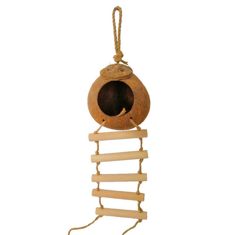 Coconut Shell Paradise Bird Nest - Image 6