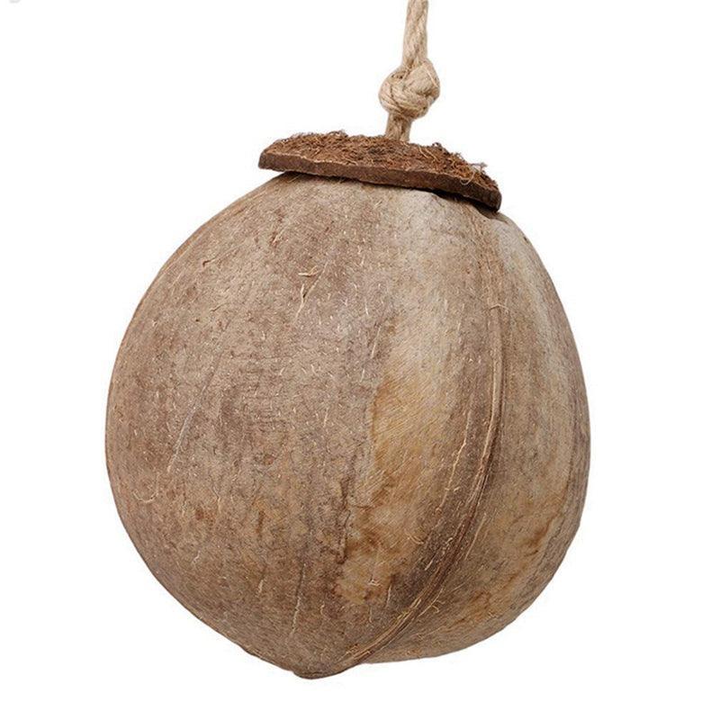 Coconut Shell Paradise Bird Nest - Image 4