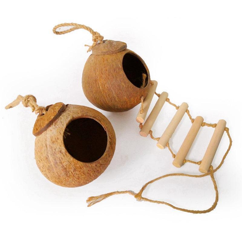 Coconut Shell Paradise Bird Nest - Image 3