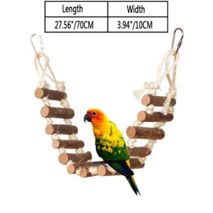 Colorful Melody Bird Toy