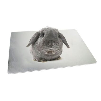 Cool Paws Aluminum Pet Cooling Plate - Beat The Heat For Your Furry Friends!