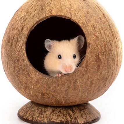 Cozy Coco Haven For Small Pets