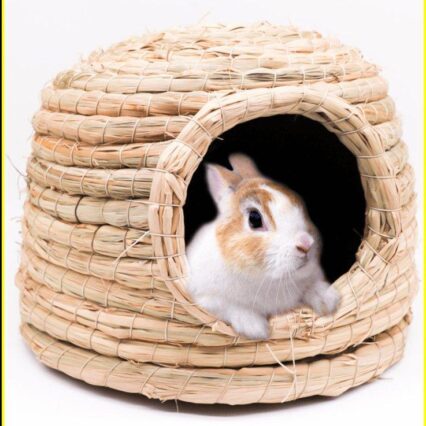 Cozy Critter Castle - Warm Winter Hamster Nest And Hedgehog House