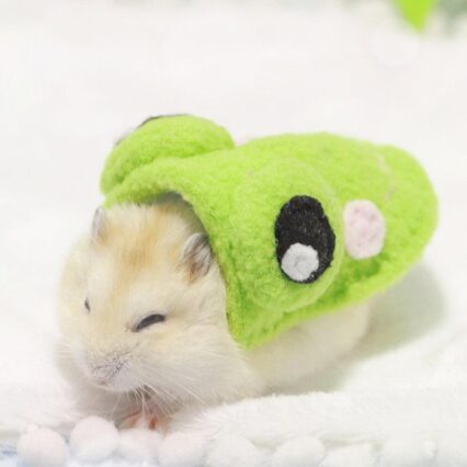 Cozy Critter Costumes For Your Adorable Hamster