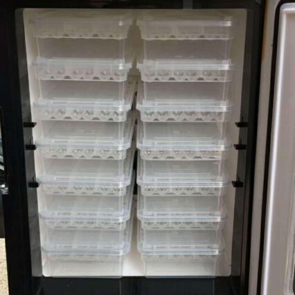 Crawling Creature Hatchery: The Ultimate Reptile Incubator