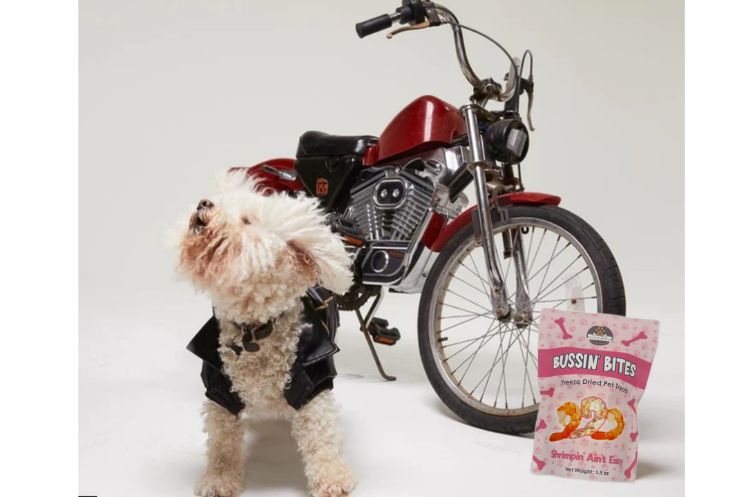 Single Ingredient, High Value Freeze-Dried Training Treats for Dogs & Cats - Shrimp - Image 4