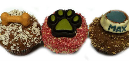 Birthday Mini Pupcakes With Decorations