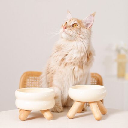 Gulu Elevated Ceramic Pet Water Bowl with Wooden Stand