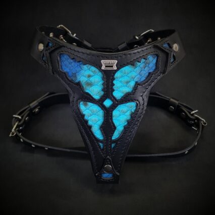 The ''Morelia Python'' harness Medium Size