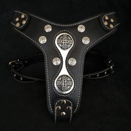 The "Hektor" harness