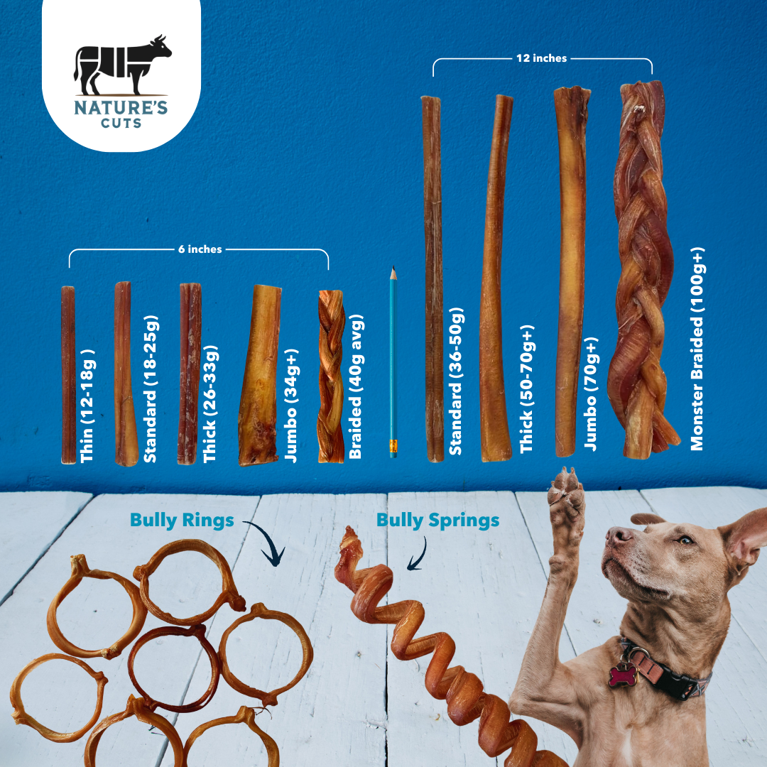 6" Standard Braided Bully Sticks Display Box - Image 5